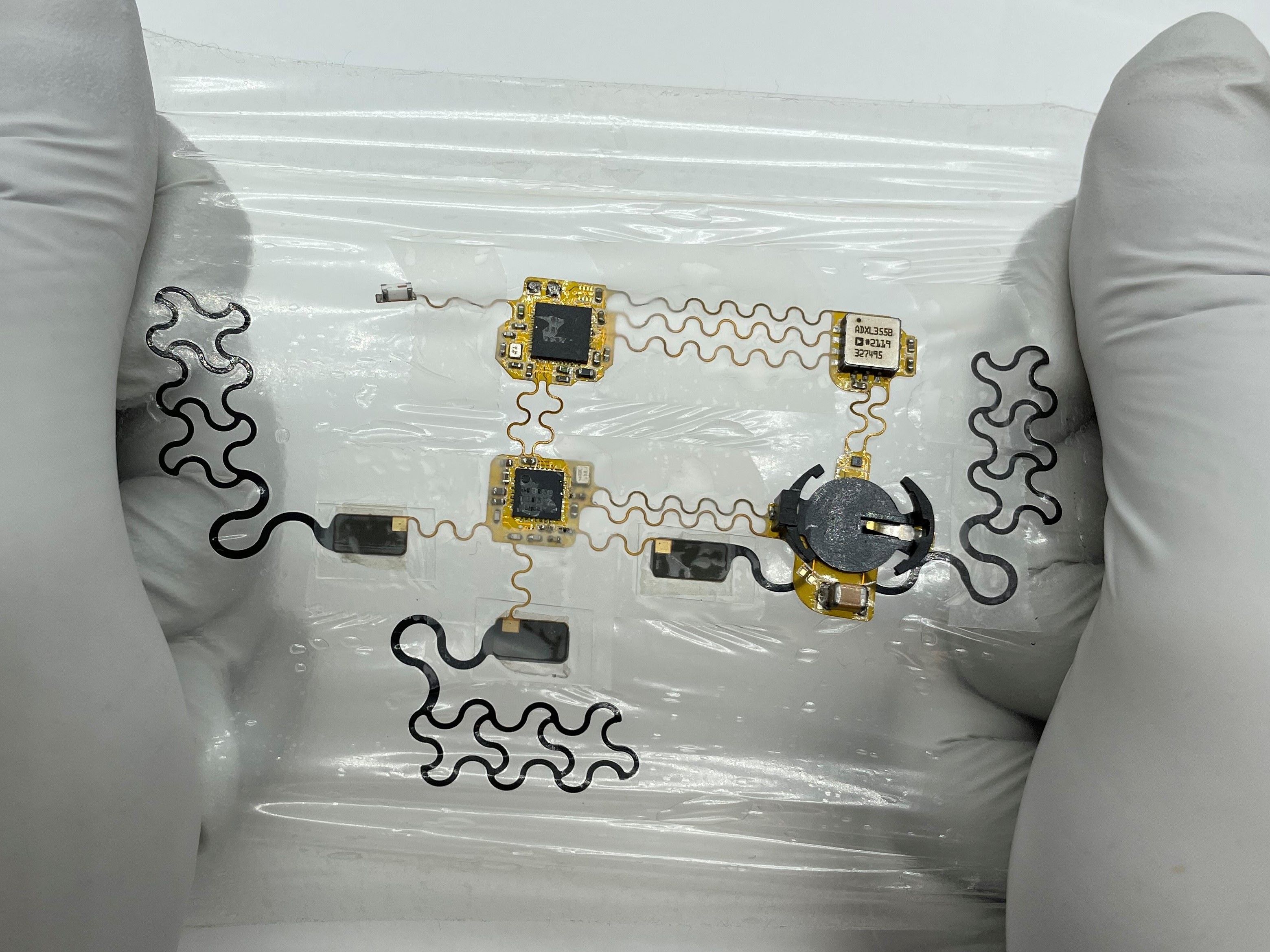 gloved hands holding chest e-tattoo prototype from Nanshu Lu's lab
