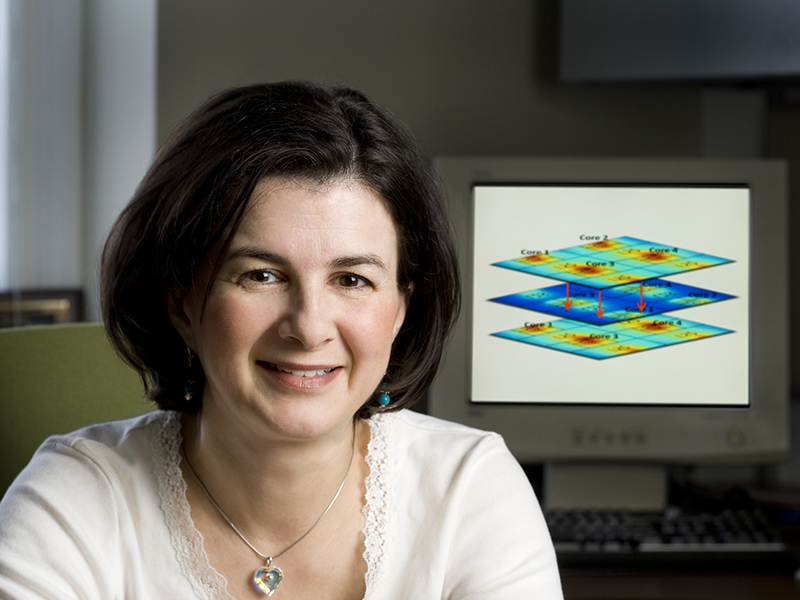 Diana Marculescu in front of a computer with a computational model on the screen