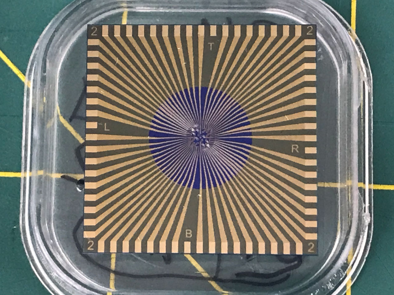 Example of the covid-flu dual test sensor chip up close. The chip is square with a striped pattern on top.