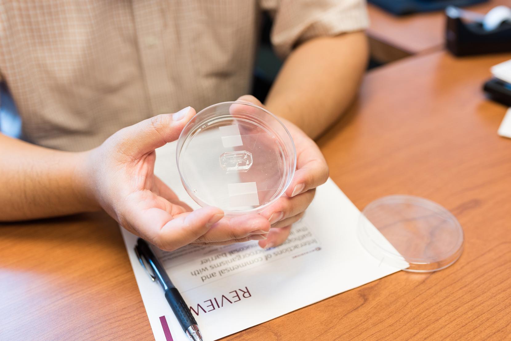 Hyun Jung Kim holding petri dish with gut-on-a-chip research