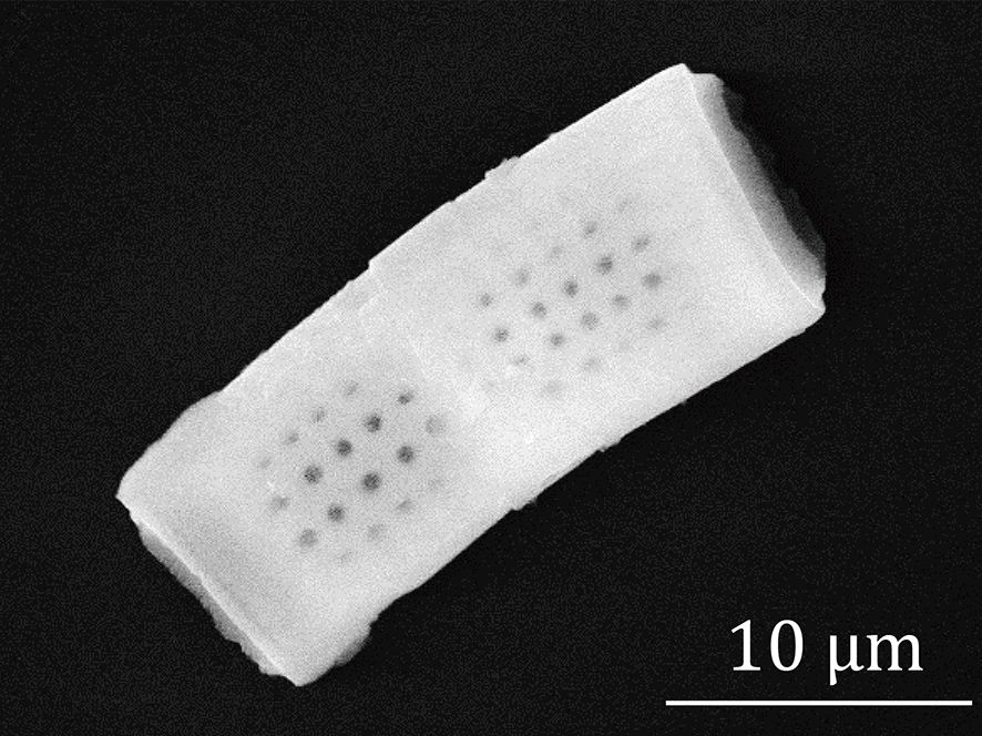 nanosensor photo